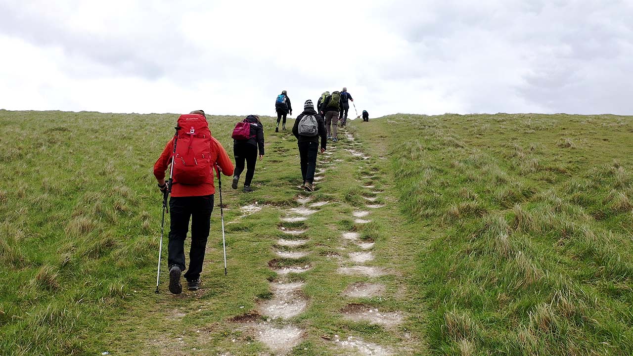 south downs walking challenge sussex