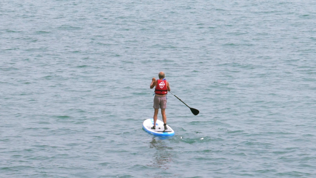brighton stand up paddleboard experience